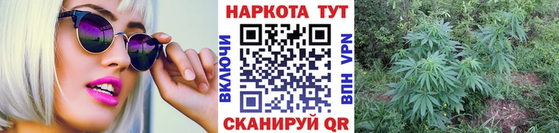 Где найти наркотики Починок ГАШИШ Метадон Alpha-PVP Бошки Шишки Мефедрон COCAIN