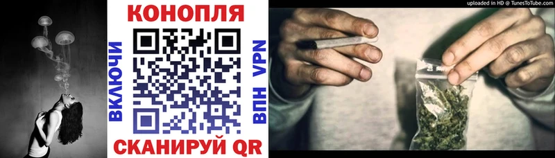 где можно купить Починок Шишки марихуана LSD WEED